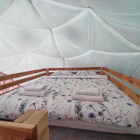 Forrest Glamp Mieroszow Exterior foto