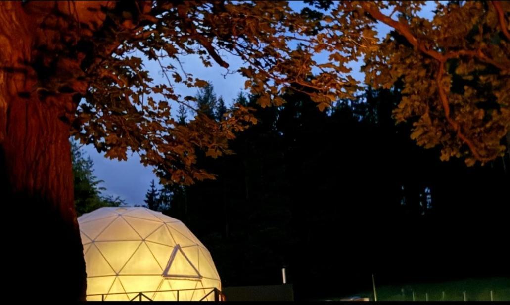 Forrest Glamp Mieroszow Exterior foto