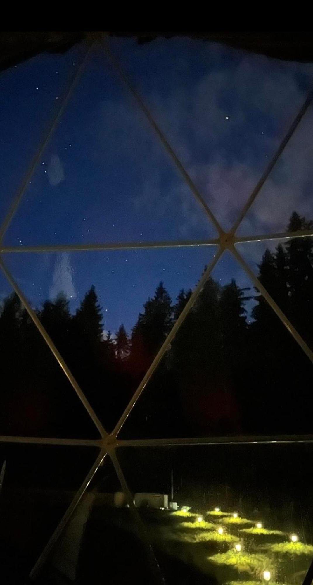 Forrest Glamp Mieroszow Exterior foto