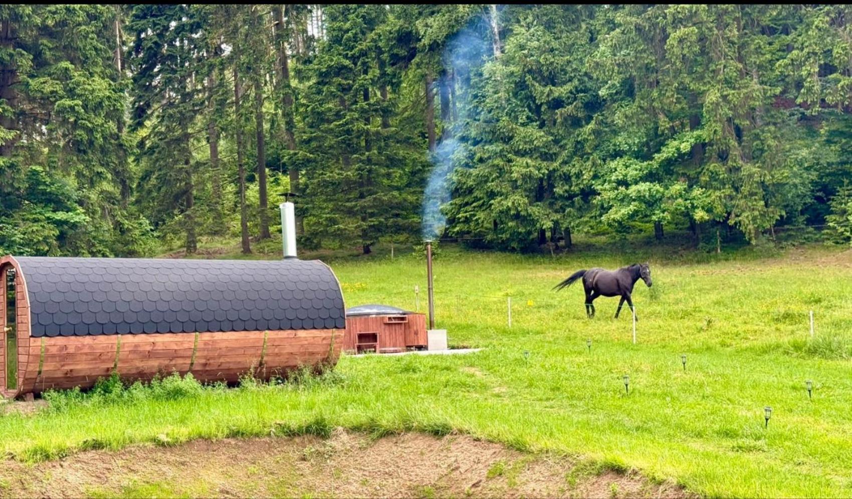 Forrest Glamp Mieroszow Exterior foto