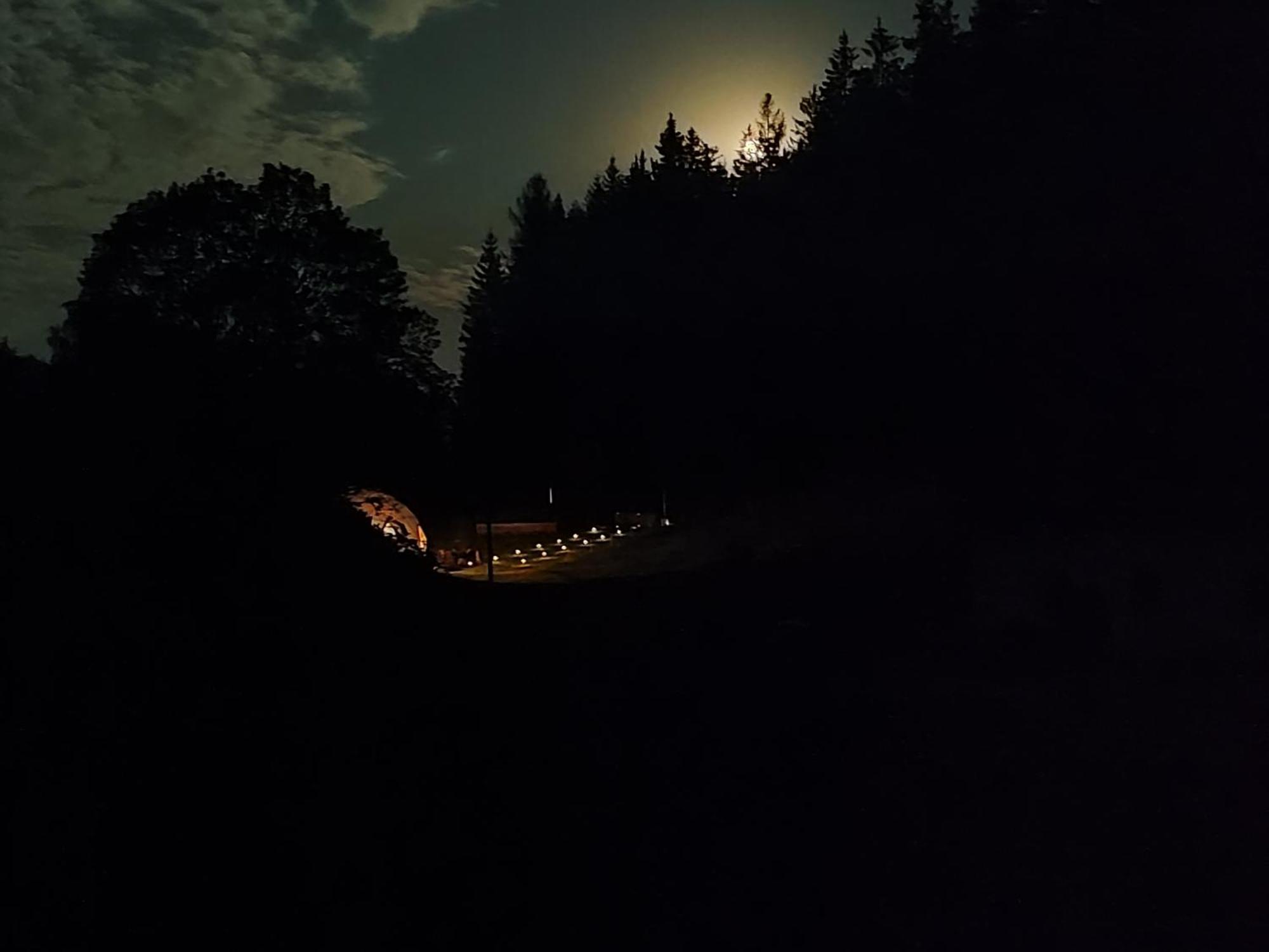 Forrest Glamp Mieroszow Exterior foto