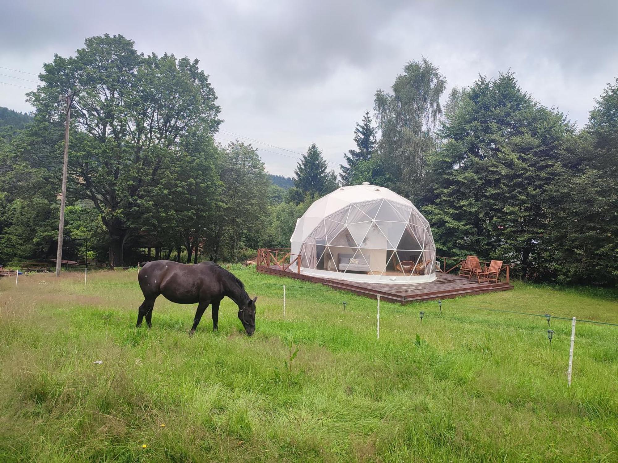 Forrest Glamp Mieroszow Exterior foto